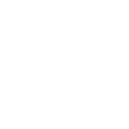 Oracle Implementation and Support